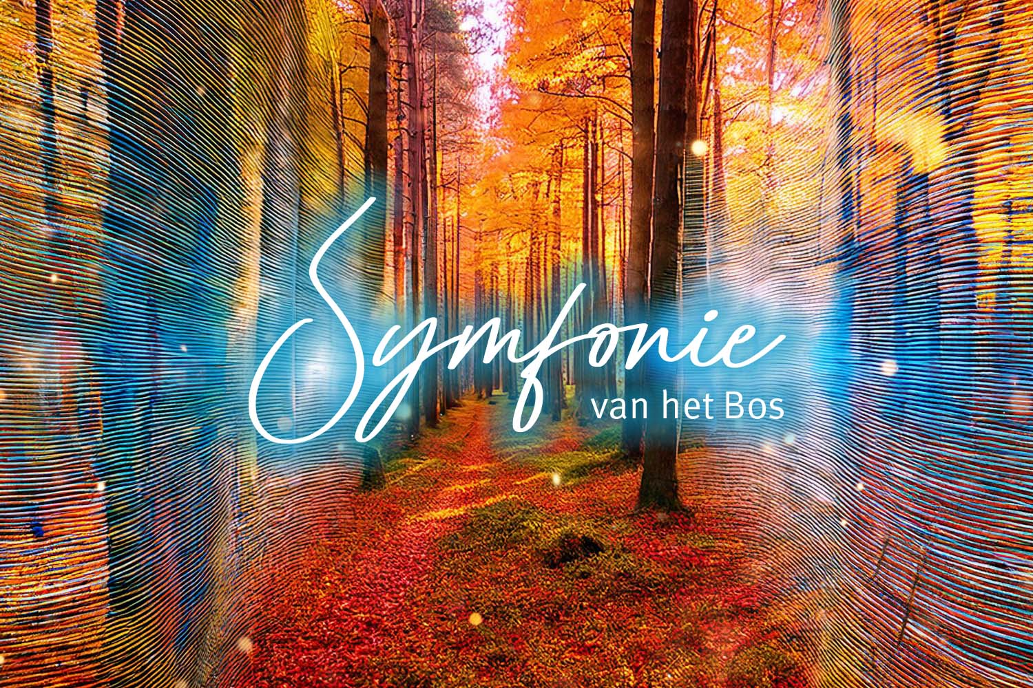 Van der Stappen_uitvaartverzorging_Herinneringsbijeenkomst_november 2026_Symfonie van het Bos